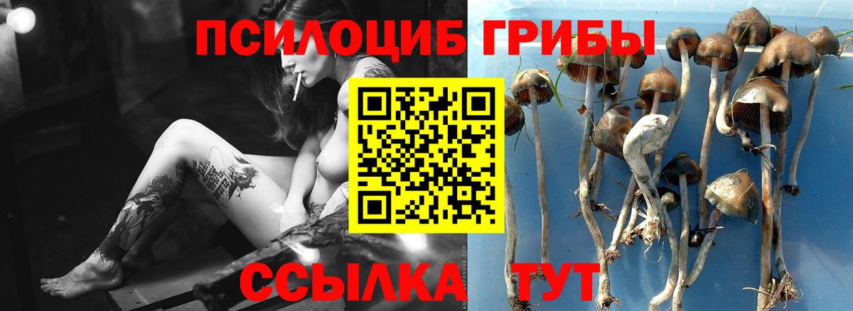 Галлюциногенные грибы Psilocybe  Вход с VPN  Оренбург 