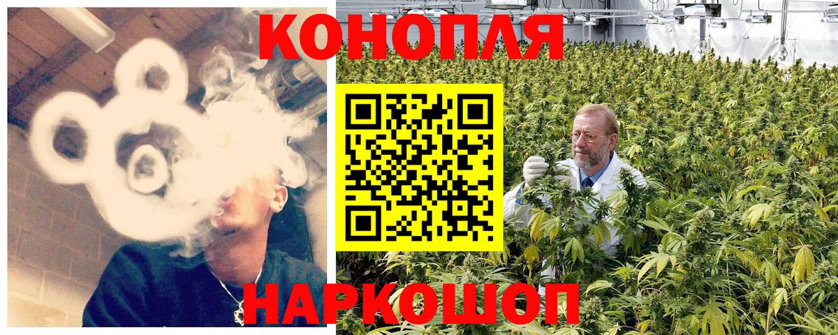 Марихуана сатива Оренбург